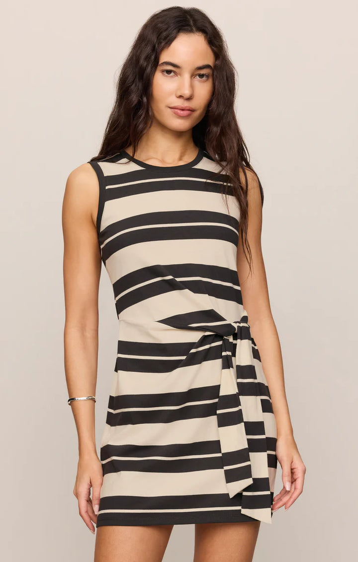 Mattie Striped Mini Dress-Ash Black