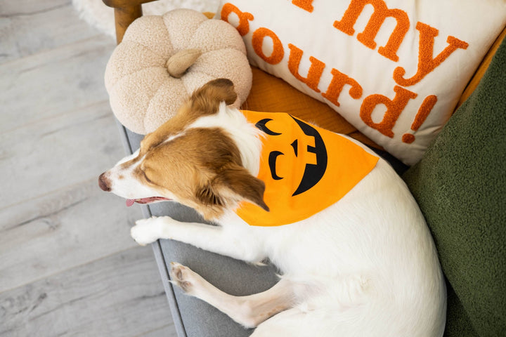 Pearhead - Cream Sherpa Pumpkin Pillow, Fall Decor - Hello Beautiful Boutique